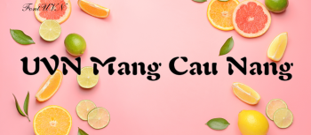 Font UVN Mãng Cầu Nắng Việt Hóa - Fonts Chữ Việt Hóa